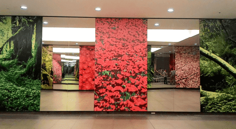 #wallmural