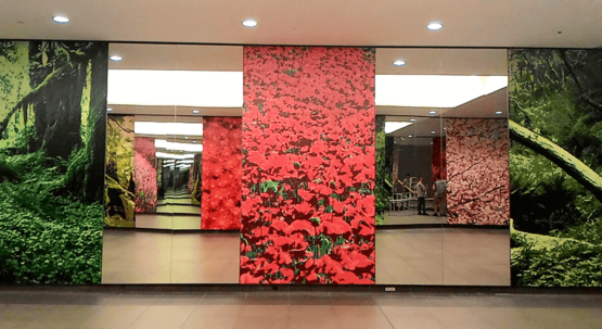 #wallmural