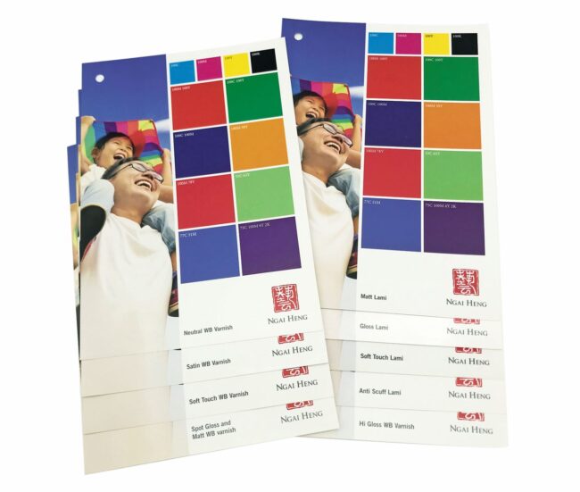 IMG_8993 brochure printing