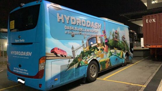 #cardecal #decal #vehicledecal